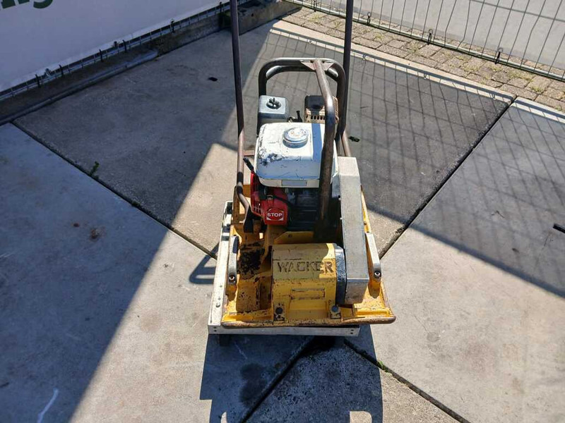 Wacker WPR 1350 - 진동판 : 사진 5 Wacker WPR 1350 - 진동판 : 사진 5