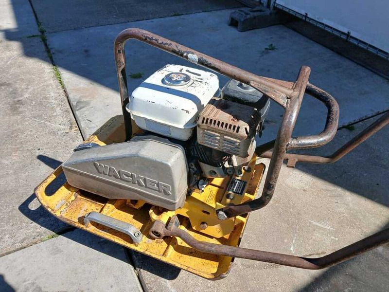 Wacker WPR 1350 - 진동판 : 사진 4 Wacker WPR 1350 - 진동판 : 사진 4