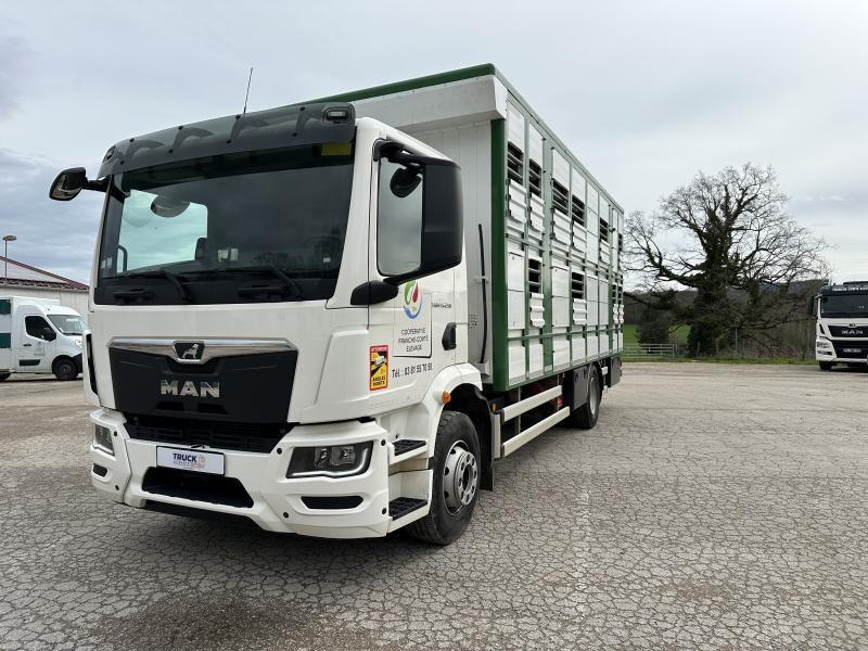 MAN M 90 15.290 TGM - 가축 트럭 : 사진 1 MAN M 90 15.290 TGM - 가축 트럭 : 사진 1