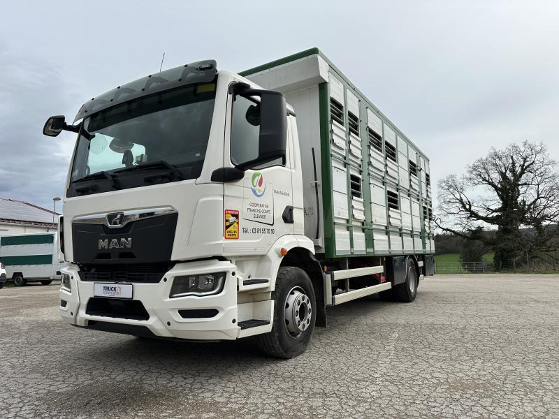 MAN M 90 15.290 TGM - 가축 트럭 : 사진 3 MAN M 90 15.290 TGM - 가축 트럭 : 사진 3