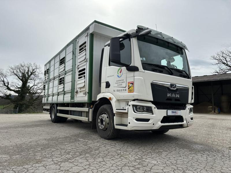 MAN M 90 15.290 TGM - 가축 트럭 : 사진 4 MAN M 90 15.290 TGM - 가축 트럭 : 사진 4