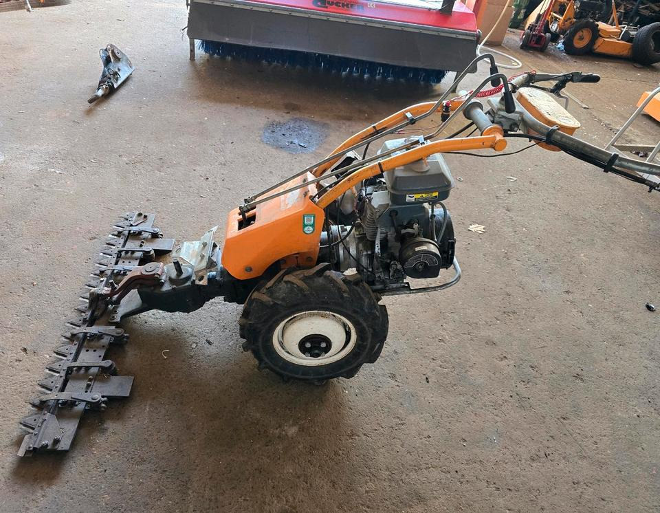 Vogel und Not Balkenmäher Hangmäher Böschungsmäher Mähbalken Rapid Reform Mulcher - 정원 모어 : 사진 1 Vogel und Not Balkenmäher Hangmäher Böschungsmäher Mähbalken Rapid Reform Mulcher - 정원 모어 : 사진 1