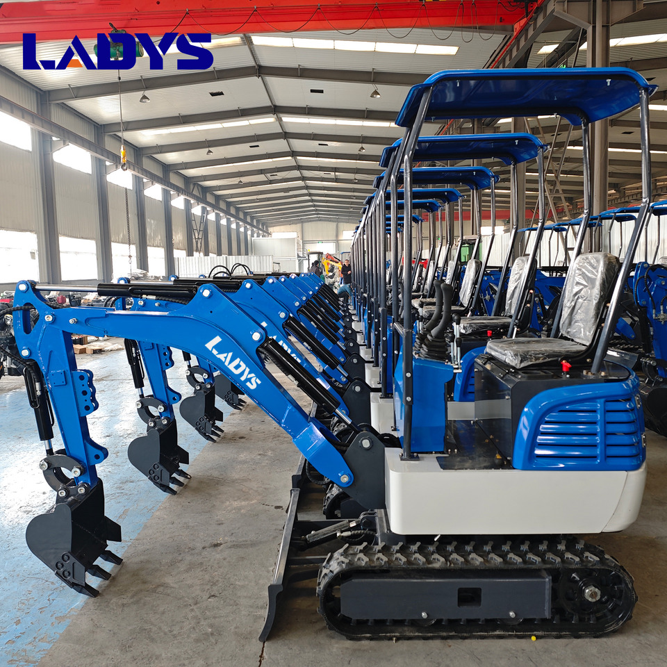 LADYS DY12Pro Mini Excavator Kubota Engine Euro 5/EPA/CE Mini Excavator Digger Miniexcavadora Mini Excavator For Sale - 크롤러 굴삭기 : 사진 5 LADYS DY12Pro Mini Excavator Kubota Engine Euro 5/EPA/CE Mini Excavator Digger Miniexcavadora Mini Excavator For Sale - 크롤러 굴삭기 : 사진 5