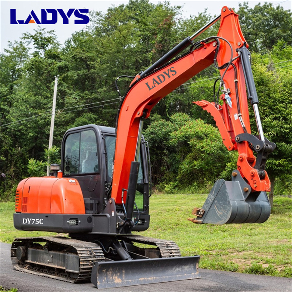 LADYS DY75C Small Excavator Euro 5/Epa Yanmar Engine Small Excavator Crawler Excavator For Sale - 크롤러 굴삭기 : 사진 4 LADYS DY75C Small Excavator Euro 5/Epa Yanmar Engine Small Excavator Crawler Excavator For Sale - 크롤러 굴삭기 : 사진 4