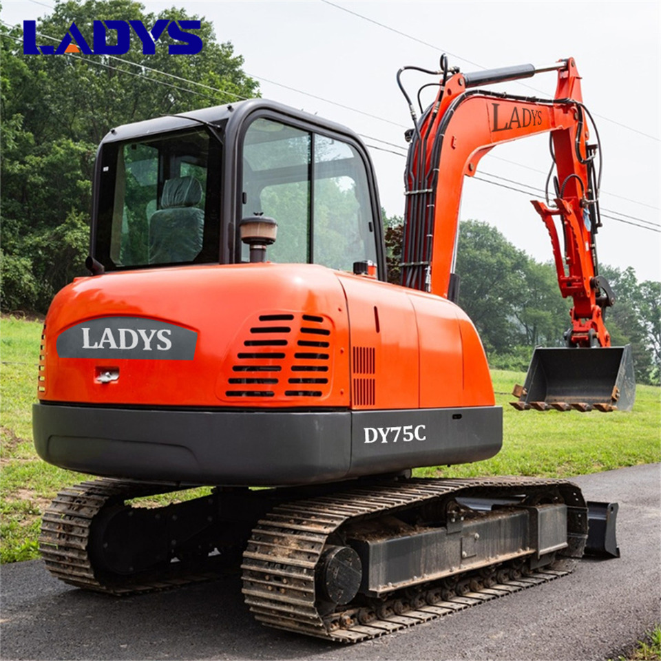 LADYS DY75C Small Excavator Euro 5/Epa Yanmar Engine Small Excavator Crawler Excavator For Sale - 크롤러 굴삭기 : 사진 3 LADYS DY75C Small Excavator Euro 5/Epa Yanmar Engine Small Excavator Crawler Excavator For Sale - 크롤러 굴삭기 : 사진 3