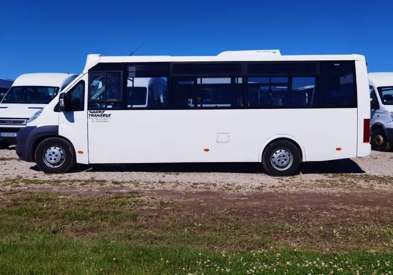 Fiat Ducato miejski, przewóz osób niepełnosprawnych - 소형 버스, 승합차 : 사진 5 Fiat Ducato miejski, przewóz osób niepełnosprawnych - 소형 버스, 승합차 : 사진 5