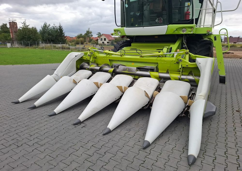 Claas CONSPEED 6-75 2012 Rok Przystawka do Kukurydzy , Nie Malowana, Stan Idealny - 유채 헤더 확장 : 사진 4 Claas CONSPEED 6-75 2012 Rok Przystawka do Kukurydzy , Nie Malowana, Stan Idealny - 유채 헤더 확장 : 사진 4