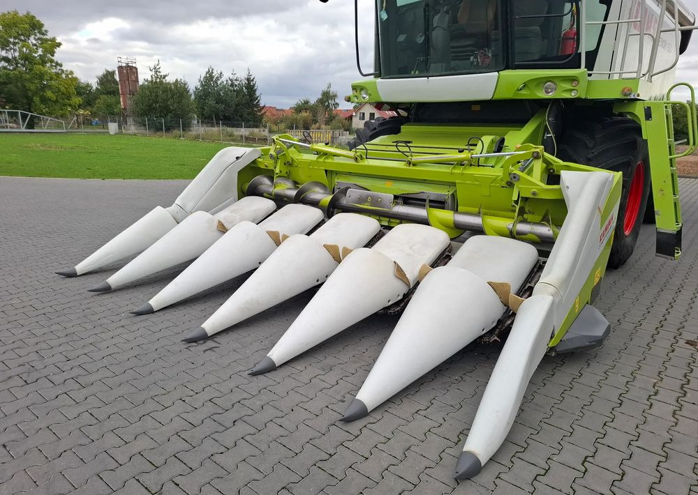 Claas CONSPEED 6-75 2012 Rok Przystawka do Kukurydzy , Nie Malowana, Stan Idealny - 유채 헤더 확장 : 사진 2 Claas CONSPEED 6-75 2012 Rok Przystawka do Kukurydzy , Nie Malowana, Stan Idealny - 유채 헤더 확장 : 사진 2