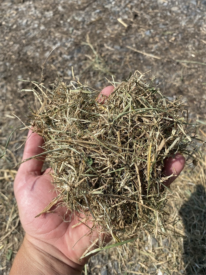 짚 분쇄기 Bizon B-1030 Kompost Schredder Biomasse Mist Compost shr : 사진 10 짚 분쇄기 Bizon B-1030 Kompost Schredder Biomasse Mist Compost shr : 사진 10