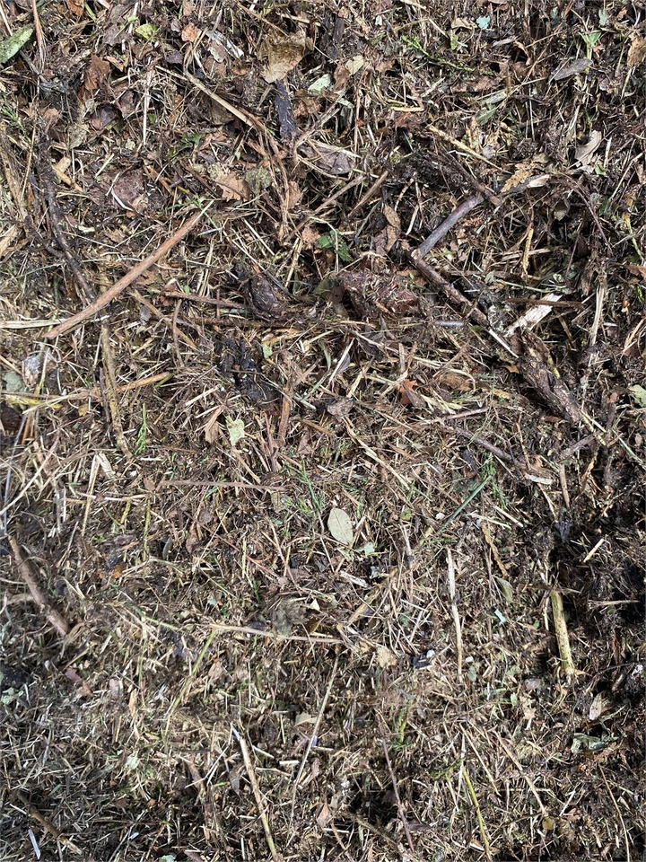 짚 분쇄기 Bizon B-1030 Kompost Schredder Biomasse Mist Compost shr : 사진 8 짚 분쇄기 Bizon B-1030 Kompost Schredder Biomasse Mist Compost shr : 사진 8