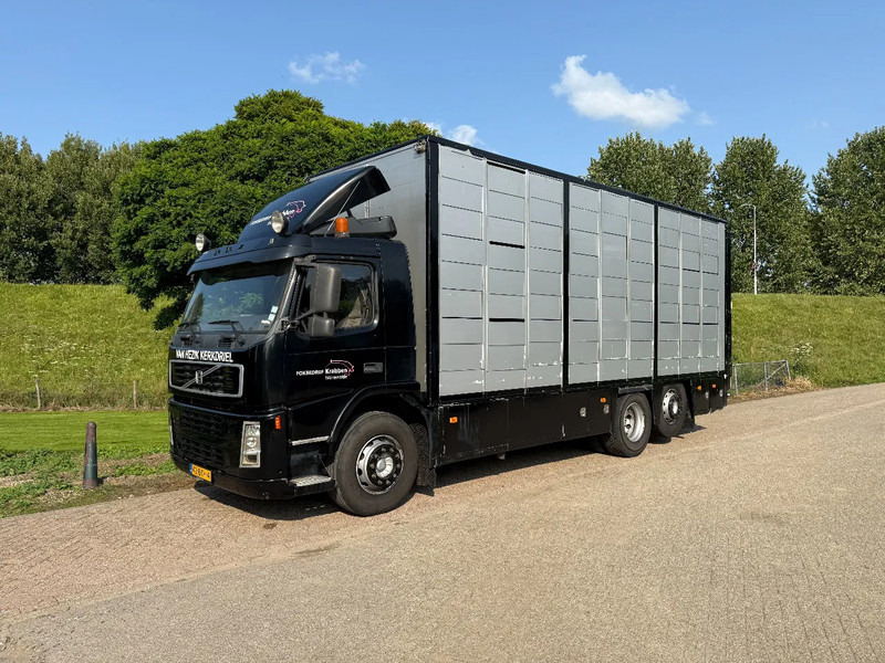 Volvo FM 300 Livestock Cuppers 3 laags 6x2 - 가축 트럭 : 사진 3 Volvo FM 300 Livestock Cuppers 3 laags 6x2 - 가축 트럭 : 사진 3
