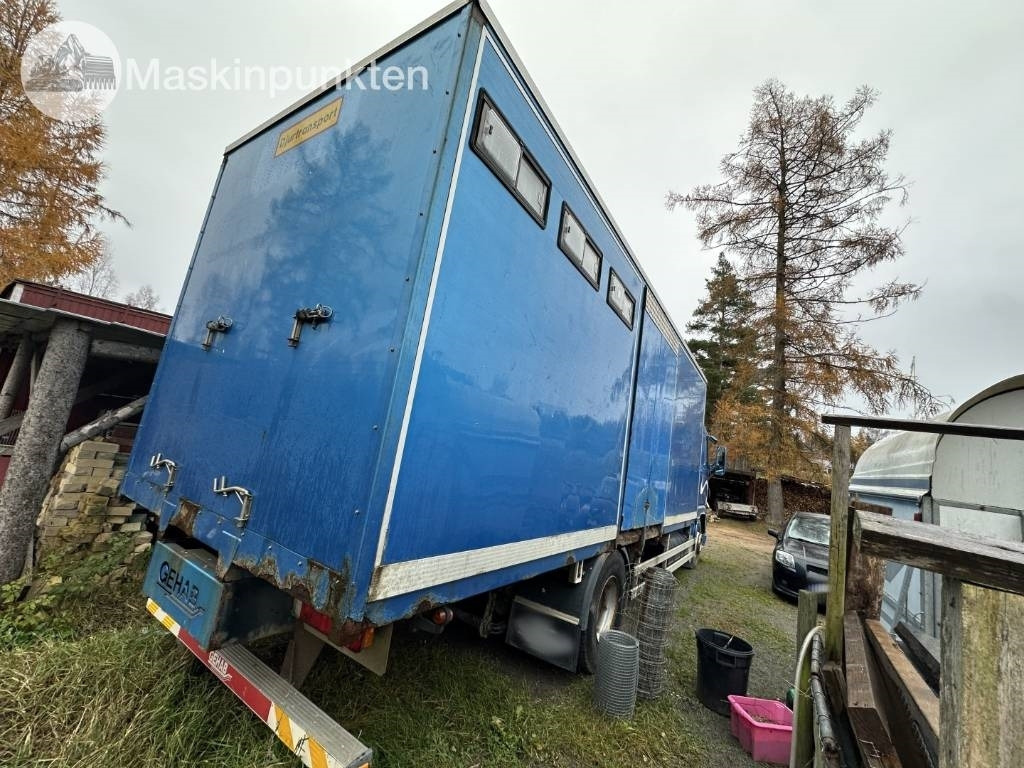 Volvo FH 12 - 가축 트럭 : 사진 4 Volvo FH 12 - 가축 트럭 : 사진 4