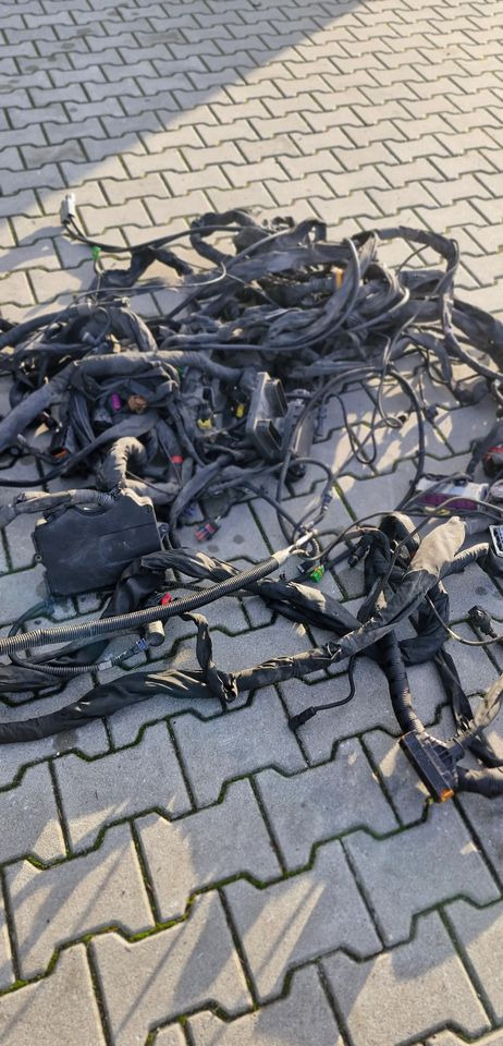 MAN TG3 TGX WIĄZKA ELEKTRYCZNA RAMY - 전기 설비 : 사진 5 MAN TG3 TGX WIĄZKA ELEKTRYCZNA RAMY - 전기 설비 : 사진 5