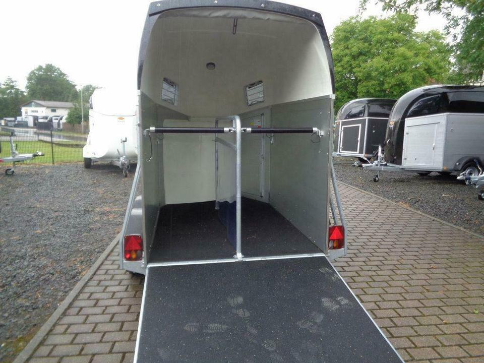 Böckmann Pferdeanhänger Champion Esprit, Aluboden, SaKa. - 말 트레일러 : 사진 5 Böckmann Pferdeanhänger Champion Esprit, Aluboden, SaKa. - 말 트레일러 : 사진 5