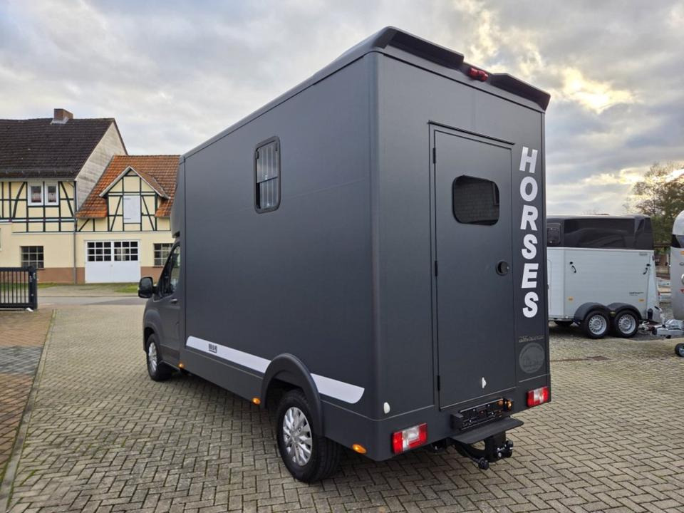 MSG Stablehopper Pferdetransporter Pferdeanhänger Böckmann - 말 수송 트럭 : 사진 4 MSG Stablehopper Pferdetransporter Pferdeanhänger Böckmann - 말 수송 트럭 : 사진 4