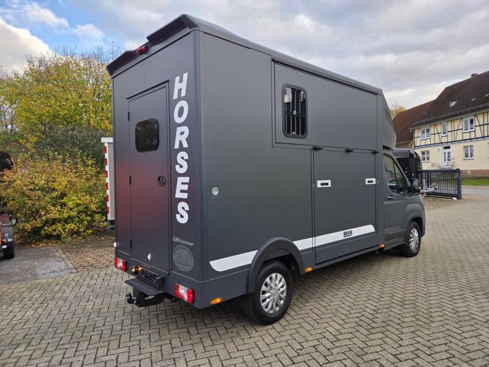 MSG Stablehopper Pferdetransporter Pferdeanhänger Böckmann - 말 수송 트럭 : 사진 3 MSG Stablehopper Pferdetransporter Pferdeanhänger Böckmann - 말 수송 트럭 : 사진 3