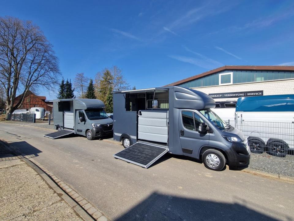 MSG Stablehopper Pferdetransporter Pferdeanhänger Böckmann - 말 수송 트럭 : 사진 1 MSG Stablehopper Pferdetransporter Pferdeanhänger Böckmann - 말 수송 트럭 : 사진 1