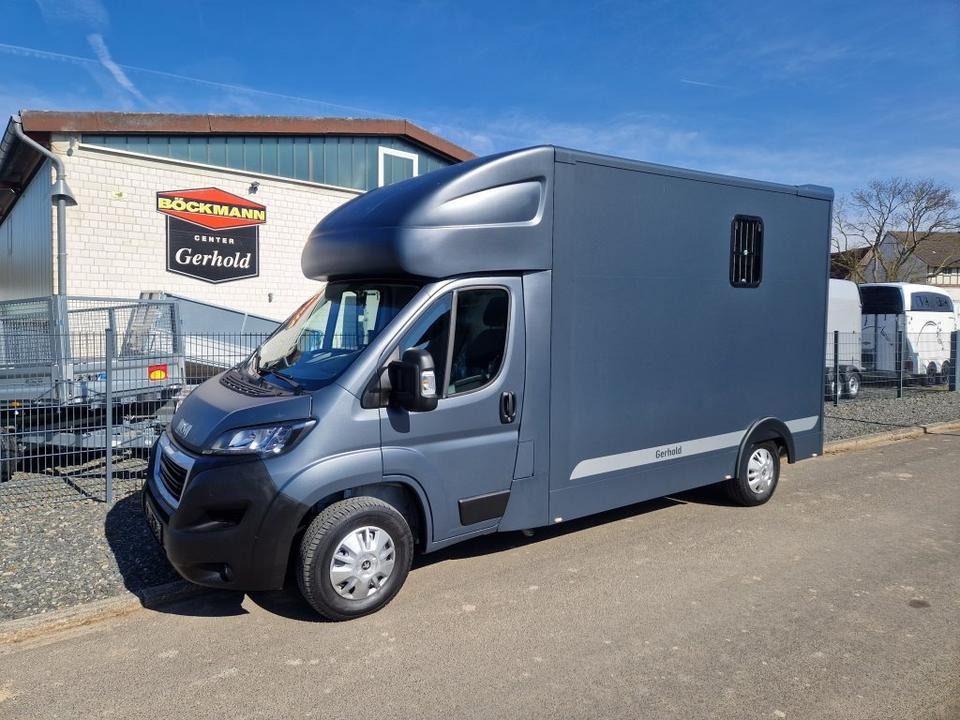 MSG Stablehopper Pferdetransporter Pferdeanhänger Böckmann - 말 수송 트럭 : 사진 2 MSG Stablehopper Pferdetransporter Pferdeanhänger Böckmann - 말 수송 트럭 : 사진 2