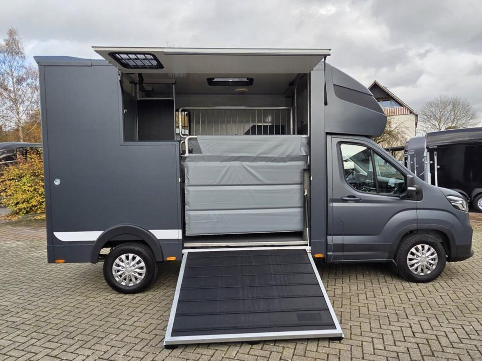 MSG Stablehopper Pferdetransporter Pferdeanhänger Böckmann - 말 수송 트럭 : 사진 3 MSG Stablehopper Pferdetransporter Pferdeanhänger Böckmann - 말 수송 트럭 : 사진 3