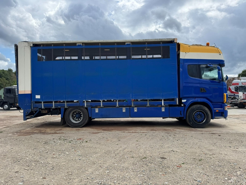 Scania 124 - 420 Topline (MANUAL GEARBOX / BOITE MANUELLE / RETARDER / PERFECT) - 가축 트럭 : 사진 4 Scania 124 - 420 Topline (MANUAL GEARBOX / BOITE MANUELLE / RETARDER / PERFECT) - 가축 트럭 : 사진 4