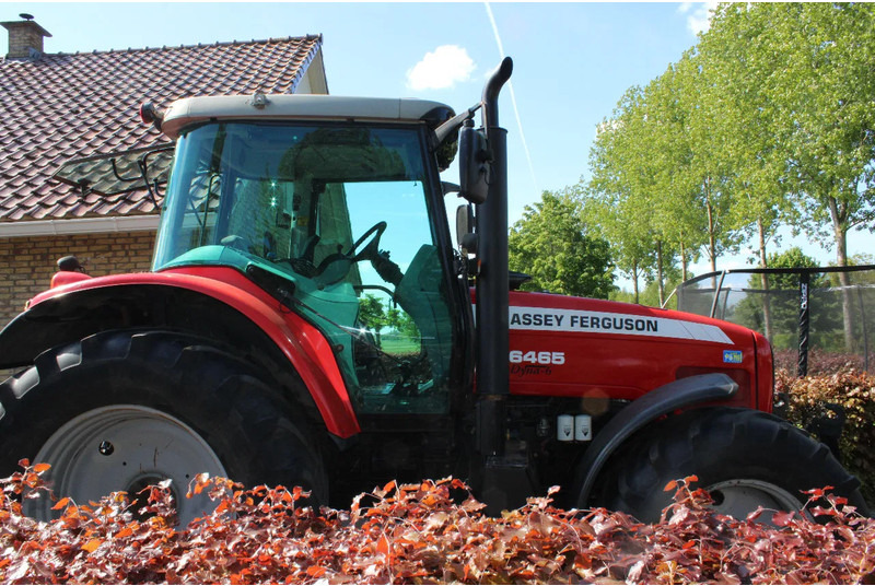Massey Ferguson 6465 dyna 6 - 장궤형 트랙터 : 사진 2 Massey Ferguson 6465 dyna 6 - 장궤형 트랙터 : 사진 2