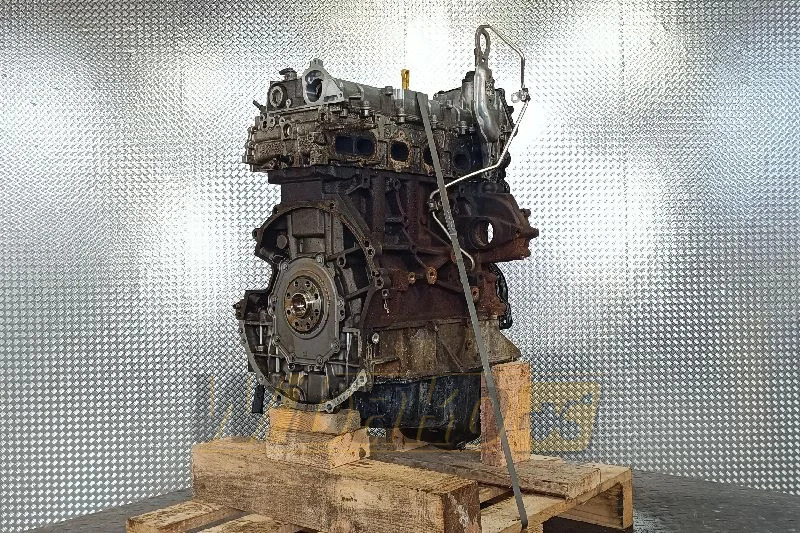 Ford 2.0 TCDI ECOBLUE YNR6 - 엔진 건설기계 용 : 사진 1 Ford 2.0 TCDI ECOBLUE YNR6 - 엔진 건설기계 용 : 사진 1