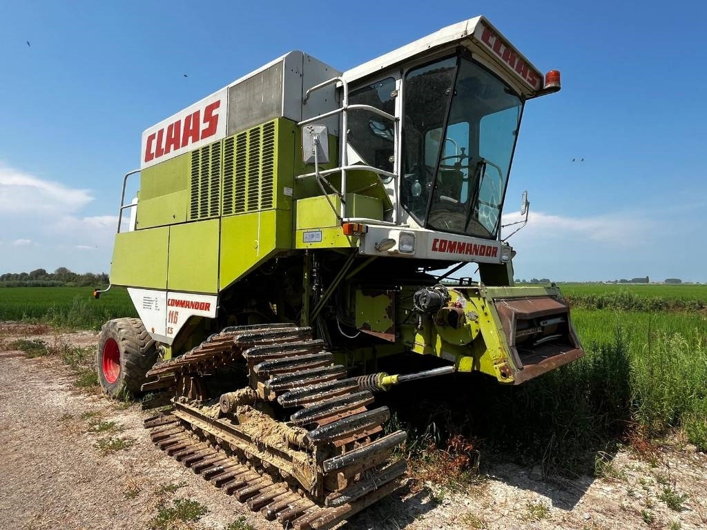 Claas COMMANDOR 116 CS RISO - 목초수확기 : 사진 1 Claas COMMANDOR 116 CS RISO - 목초수확기 : 사진 1