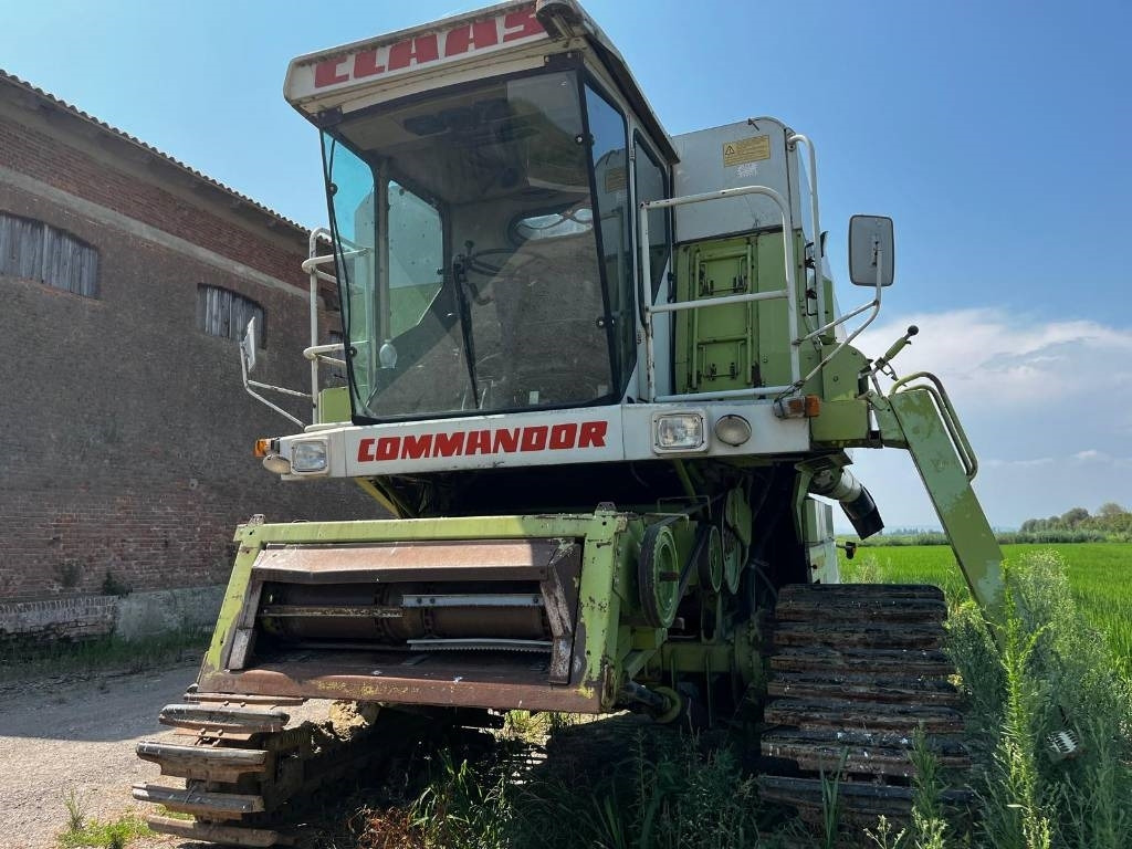 Claas COMMANDOR 116 CS RISO - 목초수확기 : 사진 4 Claas COMMANDOR 116 CS RISO - 목초수확기 : 사진 4