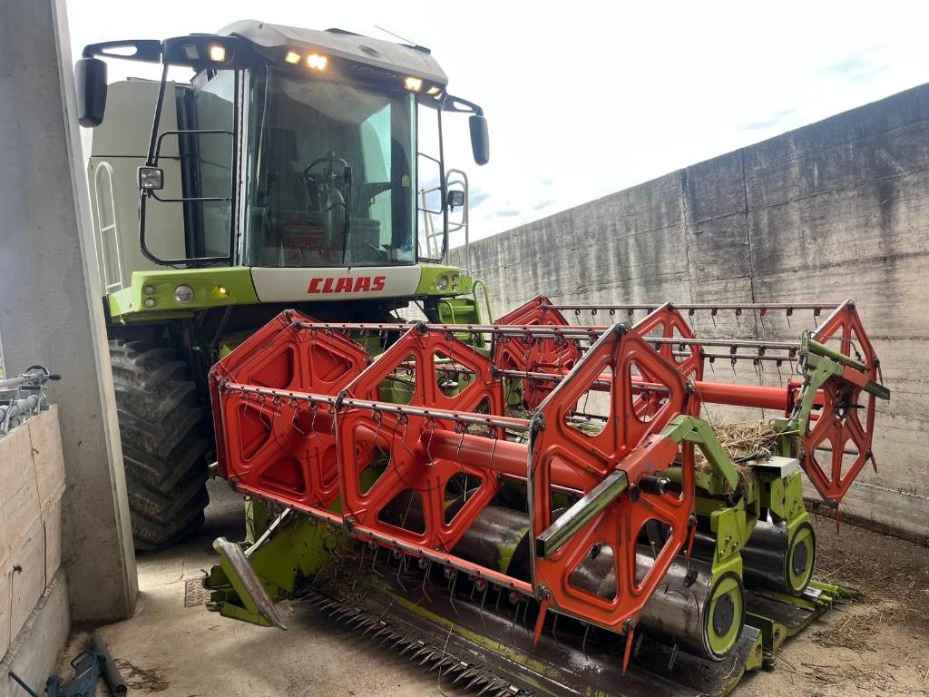 Claas GRANO 5.10 - 곡물 헤더 : 사진 1 Claas GRANO 5.10 - 곡물 헤더 : 사진 1