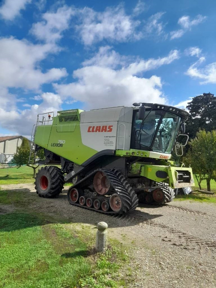 Claas LEXION 750 RISO - 목초수확기 : 사진 1 Claas LEXION 750 RISO - 목초수확기 : 사진 1
