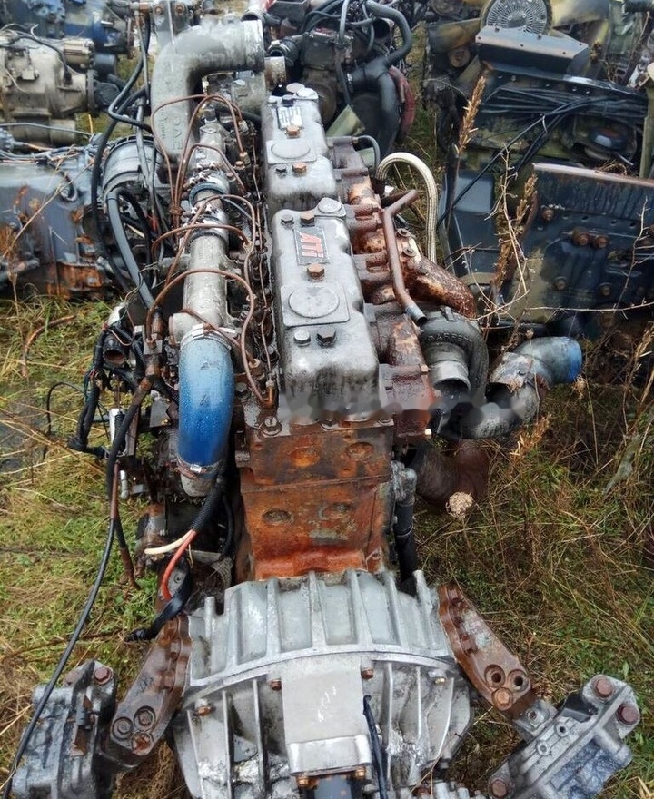 DAF ATI WS315M   DAF 95 - 엔진 트럭 용 : 사진 2 DAF ATI WS315M   DAF 95 - 엔진 트럭 용 : 사진 2