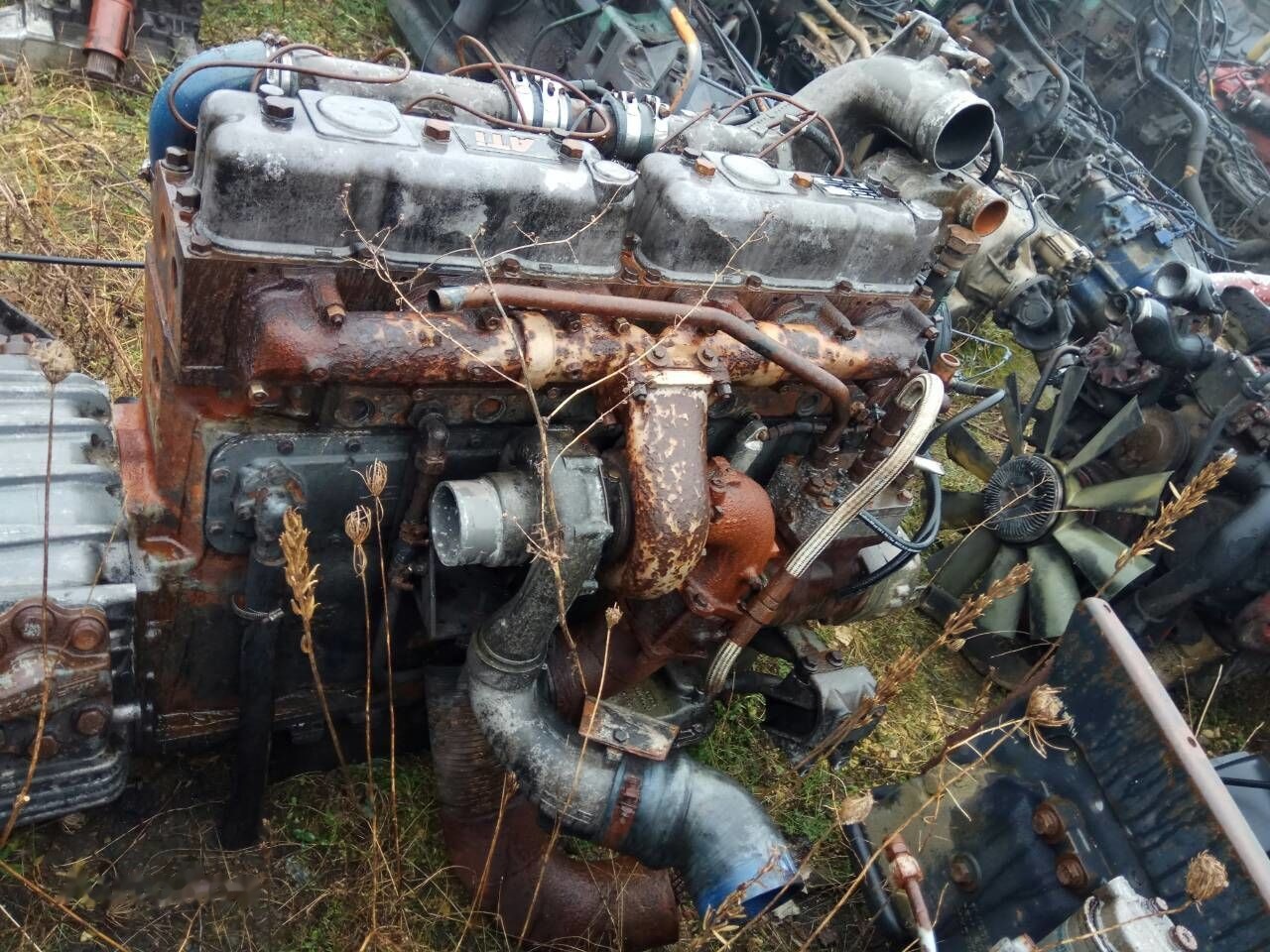 DAF ATI WS315M   DAF 95 - 엔진 트럭 용 : 사진 3 DAF ATI WS315M   DAF 95 - 엔진 트럭 용 : 사진 3