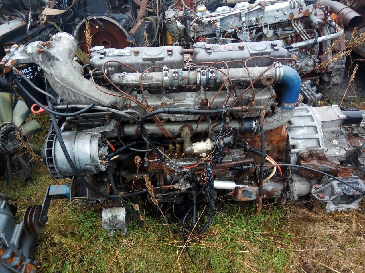 DAF ATI WS315M   DAF 95 - 엔진 트럭 용 : 사진 1 DAF ATI WS315M   DAF 95 - 엔진 트럭 용 : 사진 1