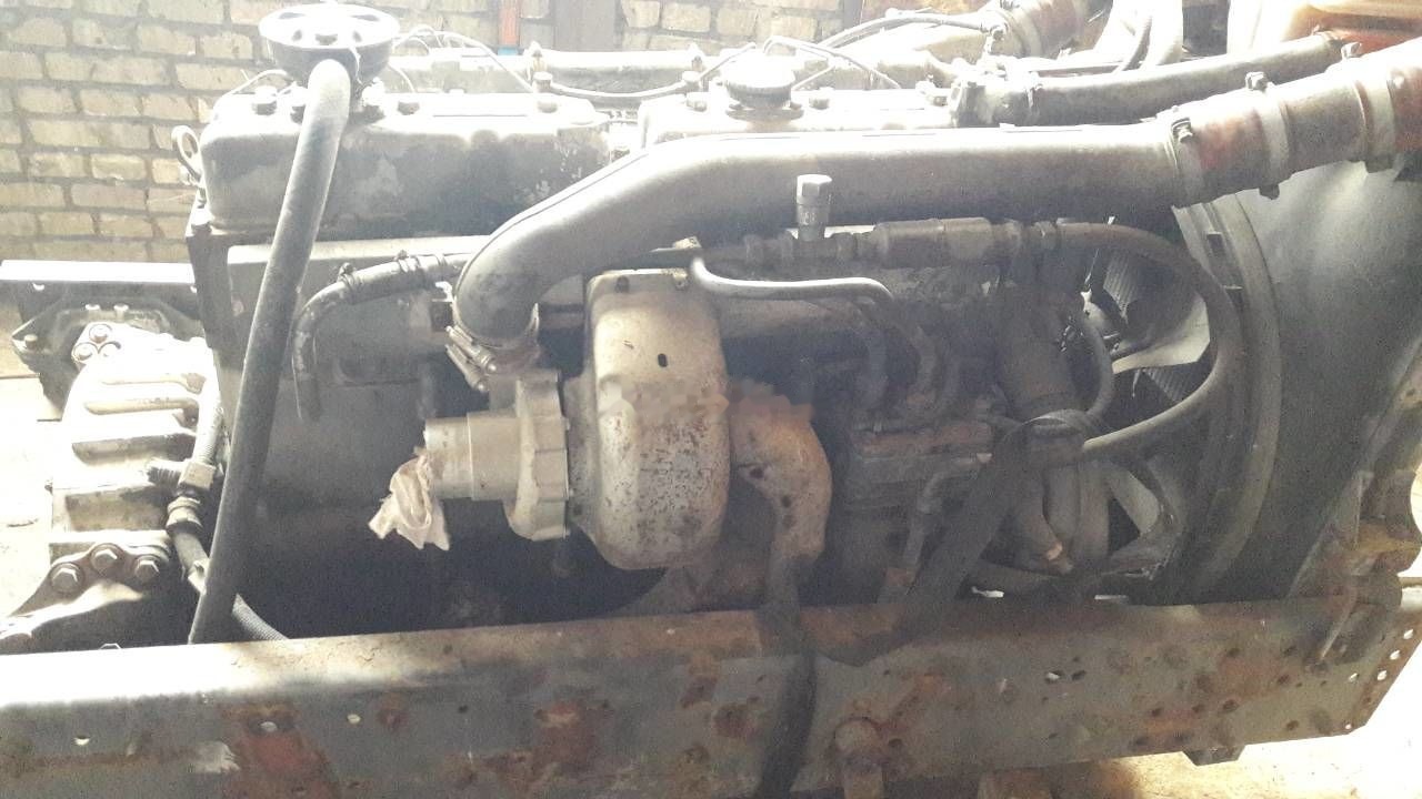 DAF WS268G DAF 95 85 - 엔진 트럭 용 : 사진 2 DAF WS268G DAF 95 85 - 엔진 트럭 용 : 사진 2