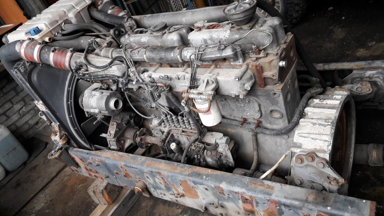 DAF WS268G DAF 95 85 - 엔진 트럭 용 : 사진 3 DAF WS268G DAF 95 85 - 엔진 트럭 용 : 사진 3