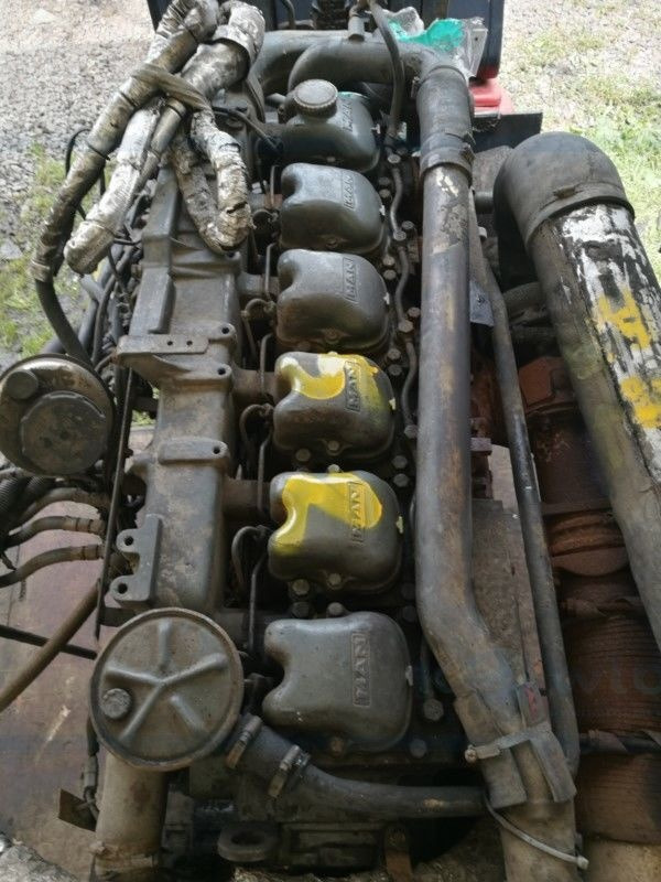 MAN D2866 LOH23 MAN BUS: Van hool, Neoplan - 엔진 트럭 용 : 사진 1 MAN D2866 LOH23 MAN BUS: Van hool, Neoplan - 엔진 트럭 용 : 사진 1