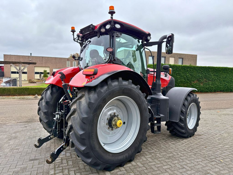 Case IH Puma 240 CVX Stage V GPS RTK - 장궤형 트랙터 : 사진 3 Case IH Puma 240 CVX Stage V GPS RTK - 장궤형 트랙터 : 사진 3