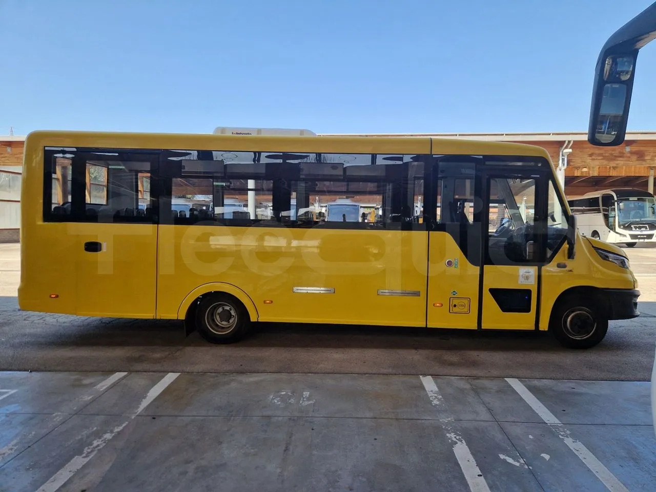 스쿨버스 Iveco Indcar : 사진 11 스쿨버스 Iveco Indcar : 사진 11