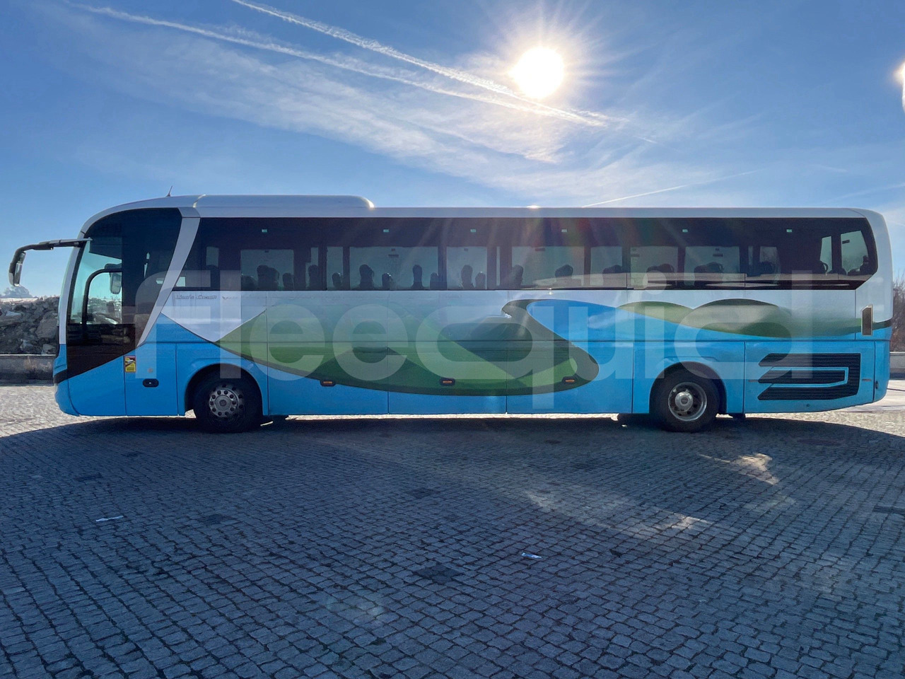 리스  Man Lion's Coach Man Lion's Coach : 사진 6