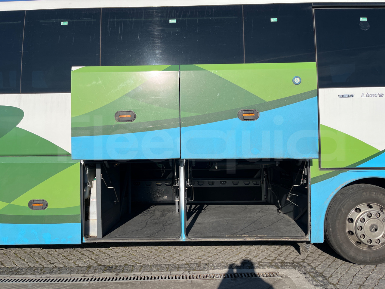 리스  Man Lion's Coach Man Lion's Coach : 사진 7