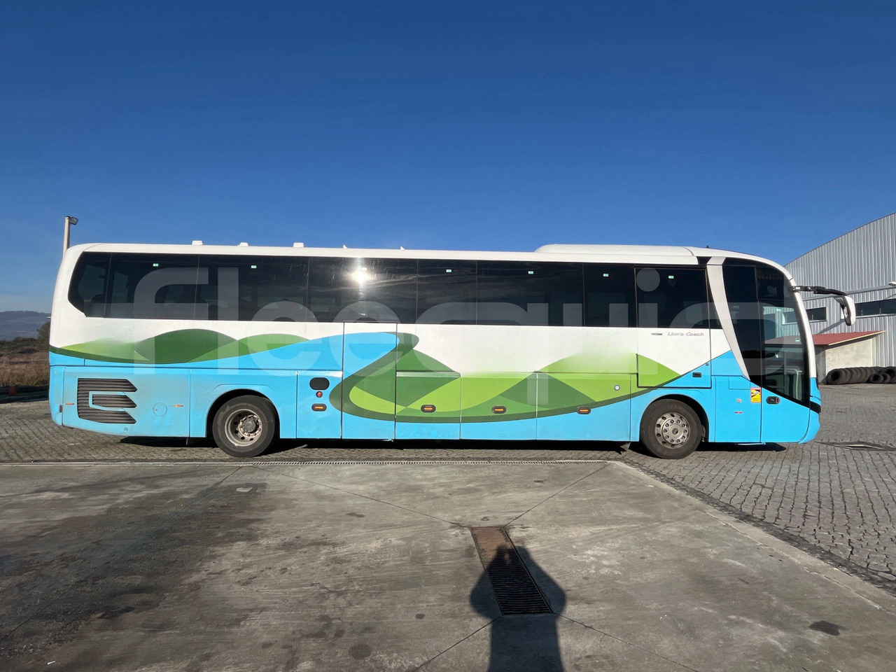 리스  Man Lion's Coach Man Lion's Coach : 사진 12