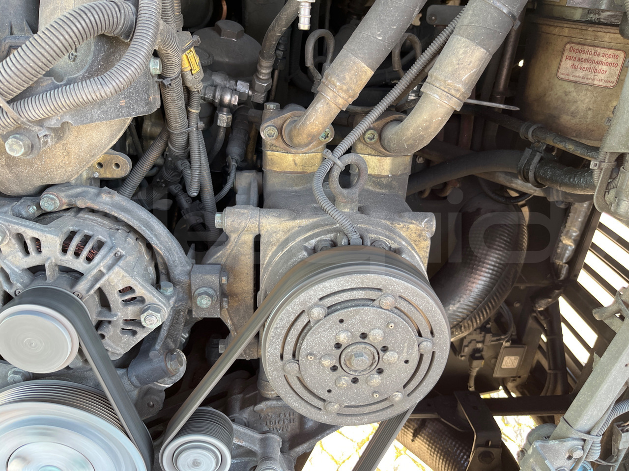 리스  Man Lion's Coach Man Lion's Coach : 사진 18