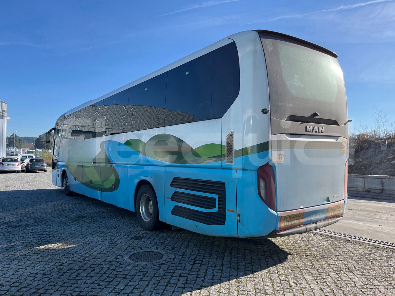 리스  Man Lion's Coach Man Lion's Coach : 사진 8