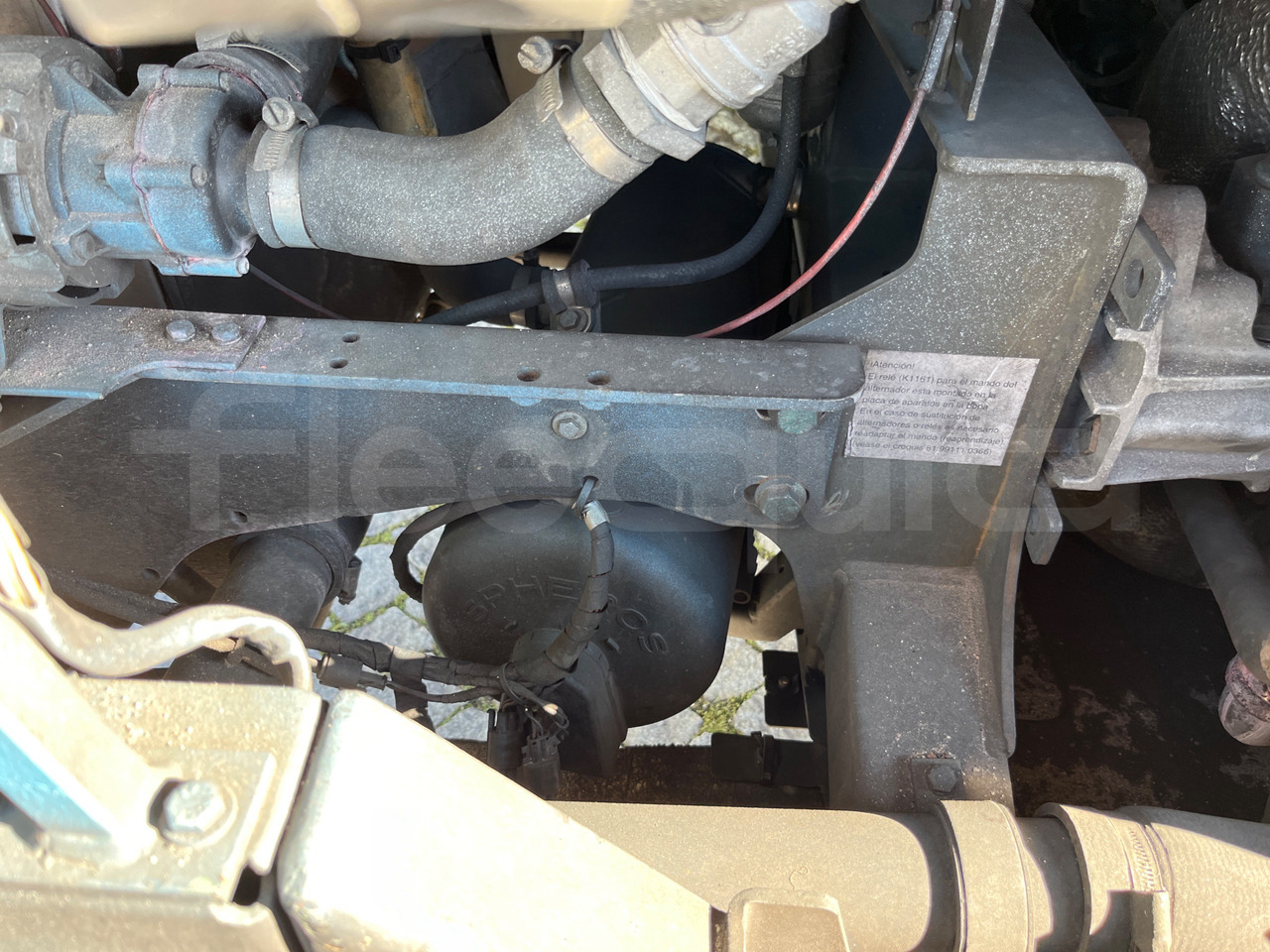 리스  Man Lion's Coach Man Lion's Coach : 사진 19