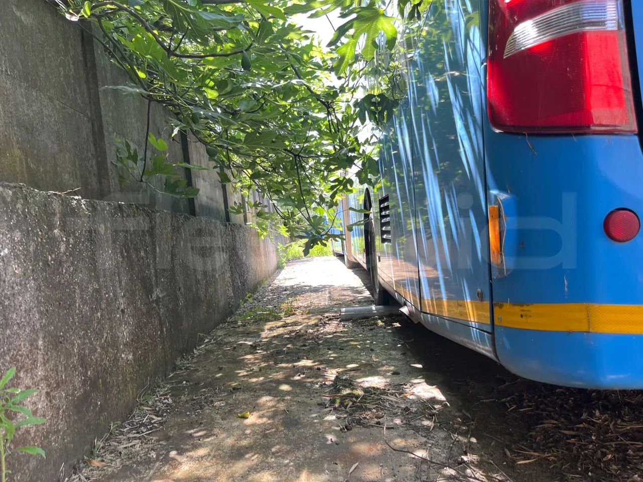 Mercedes-Benz Citaro G - 시내버스 : 사진 4 Mercedes-Benz Citaro G - 시내버스 : 사진 4