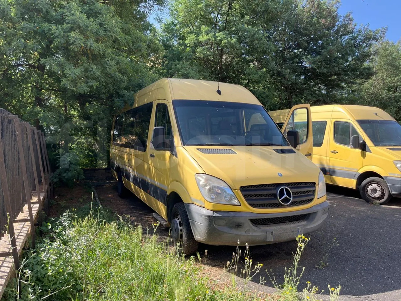 Mercedes-Benz Sprinter - 스쿨버스 : 사진 1 Mercedes-Benz Sprinter - 스쿨버스 : 사진 1