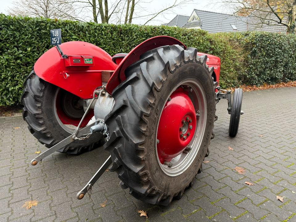 Oldtimer Massey Ferguson TEF Diesel - 장궤형 트랙터 : 사진 3 Oldtimer Massey Ferguson TEF Diesel - 장궤형 트랙터 : 사진 3