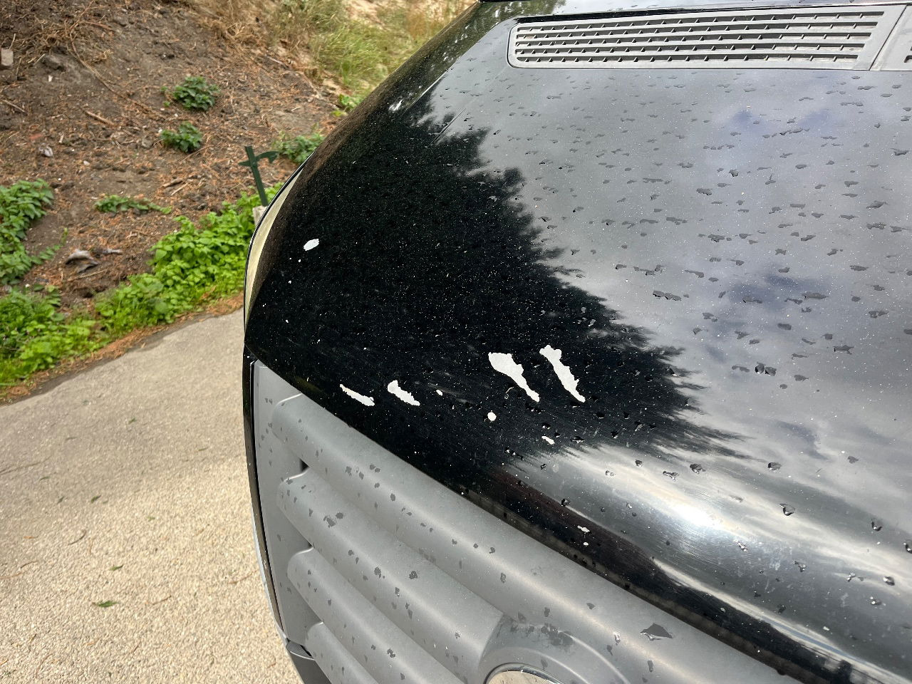 Volkswagen Crafter - 패널 밴 : 사진 5 Volkswagen Crafter - 패널 밴 : 사진 5