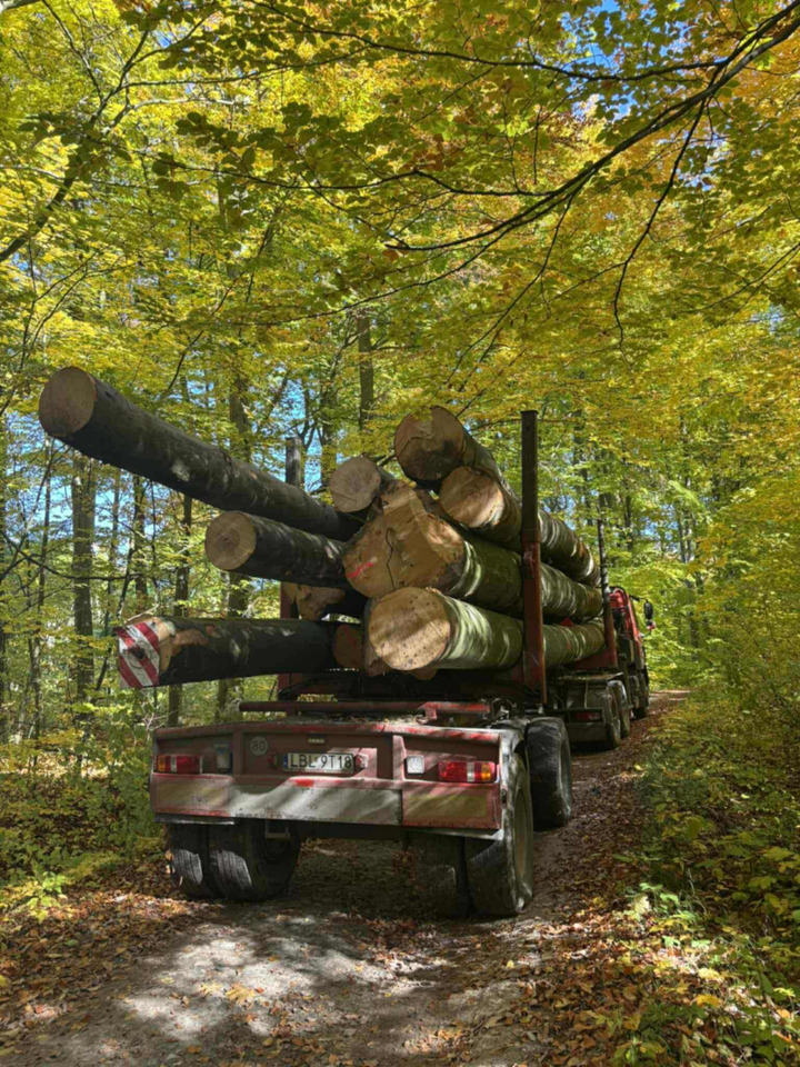 DAF CF510 - 목재 트럭, 크레인 트럭 : 사진 3 DAF CF510 - 목재 트럭, 크레인 트럭 : 사진 3