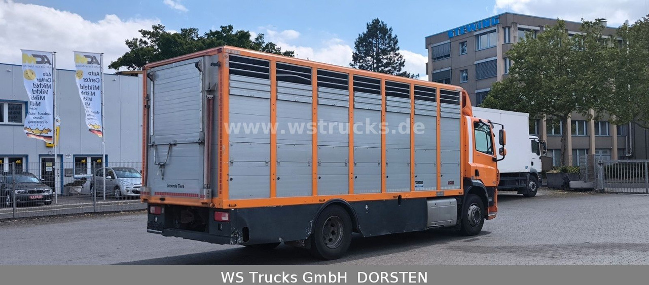 DAF CF 400 Menke Einstock Viehtransporter - 말 수송 트럭 : 사진 5 DAF CF 400 Menke Einstock Viehtransporter - 말 수송 트럭 : 사진 5
